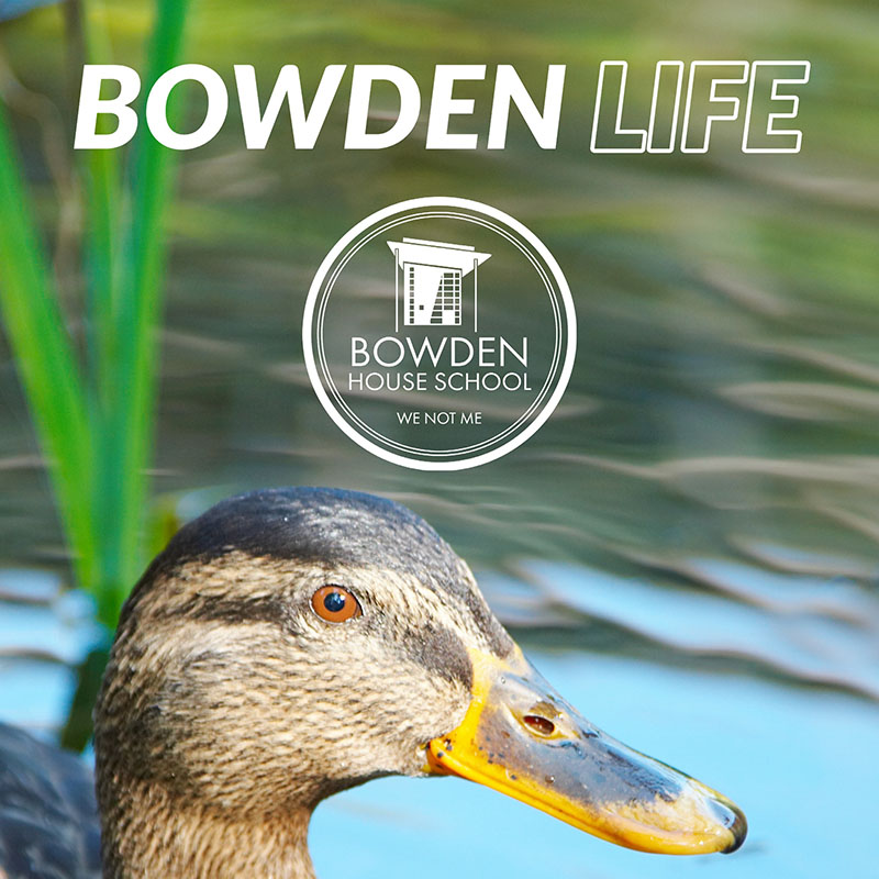 Bowden Life - August 2021